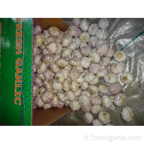Acheter 2019 New Normal White Garlic